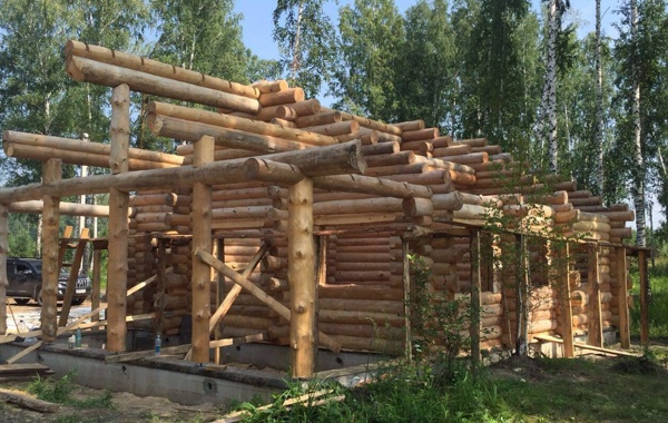 Мифы о деревянных домах