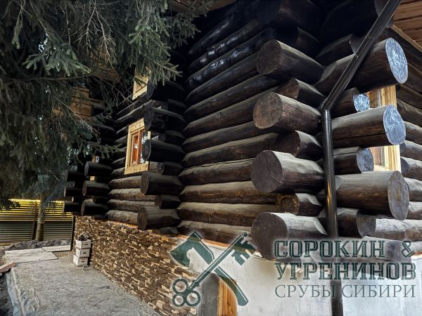 1 сруб из кедра