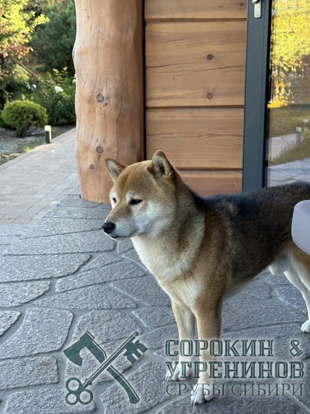 34 хозяин дома