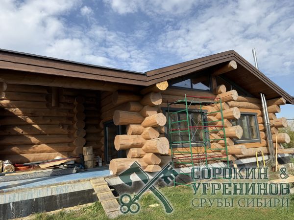 10 дом из большого дерева